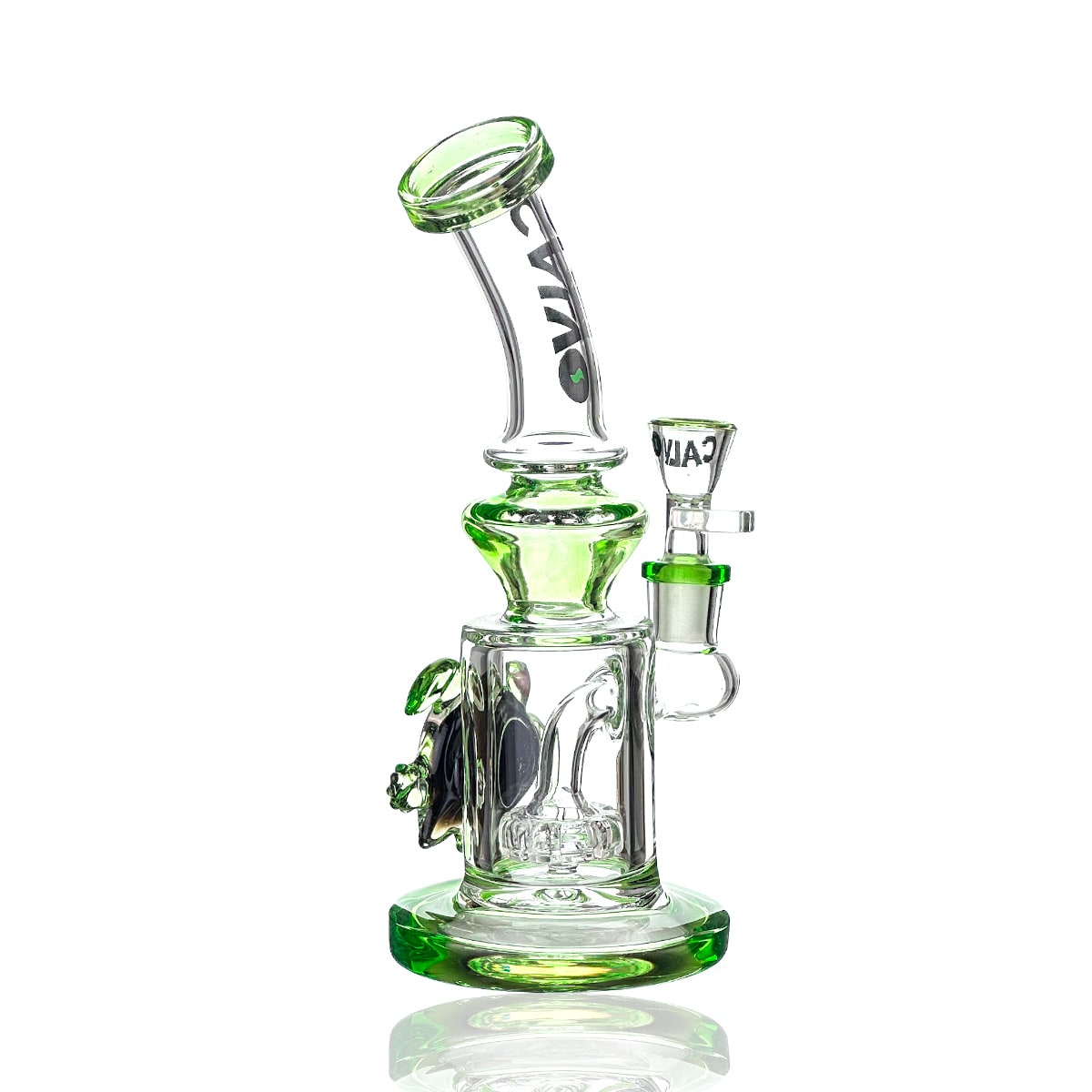 BONG TORTUGA 23CM-CALVO GLASS2