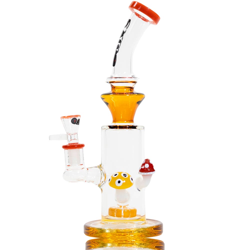 BONG DOUBLE FUNGUS3