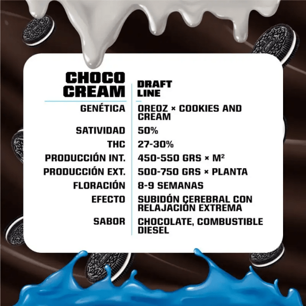 CHOCO CREAM FEM-BSF SEEDS2