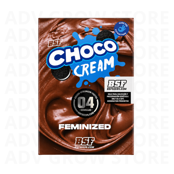 CHOCO CREAM FEM-BSF SEEDS1