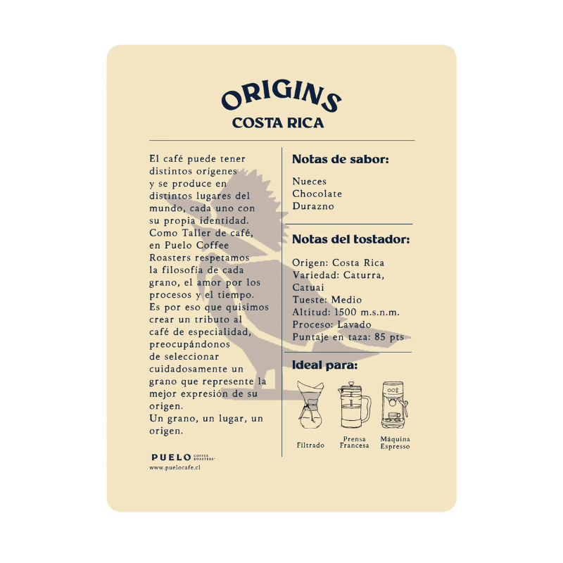 CAFÉ ORIGINS COSTA RICA 250GR-PUELO2