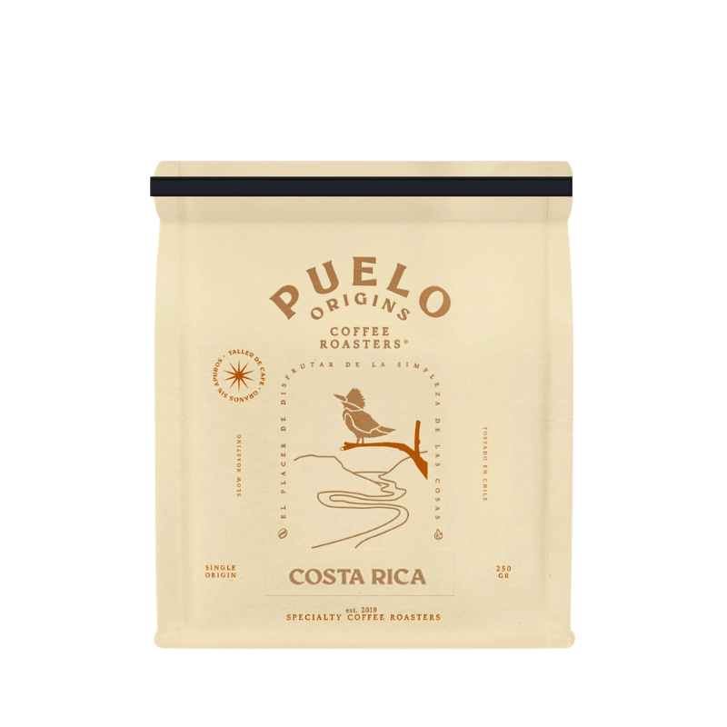 CAFÉ ORIGINS COSTA RICA 250GR-PUELO1