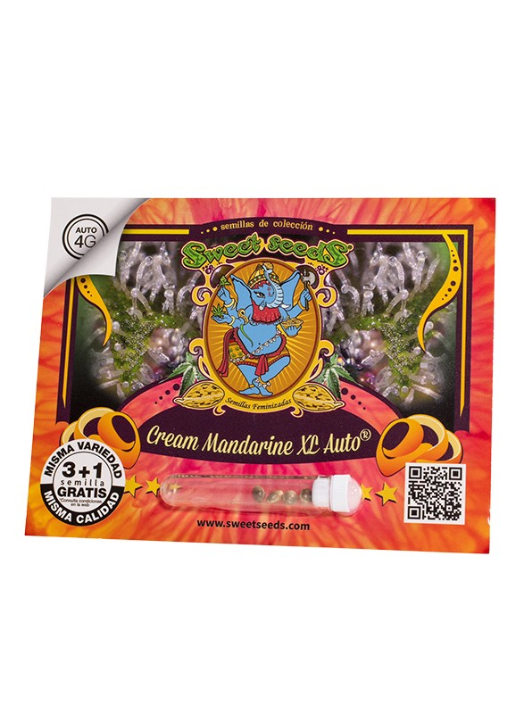 CREAM MANDARINE XL AUTO-SWEET SEEDS PACK 3+11