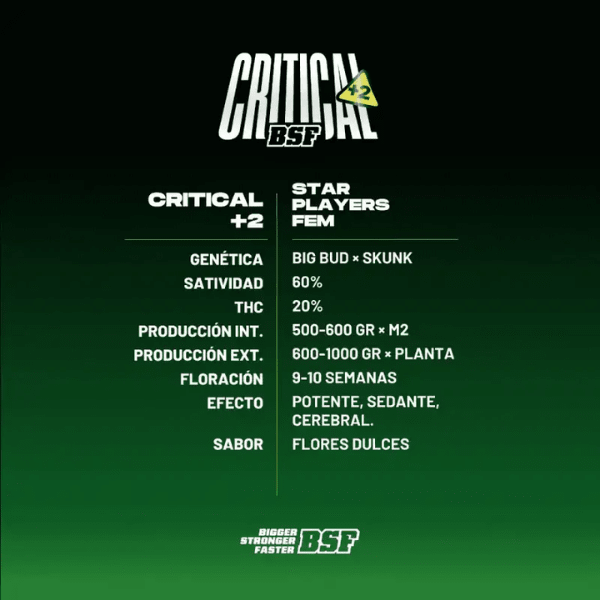 CRITICAL+2 FEM-BSF SEEDS2