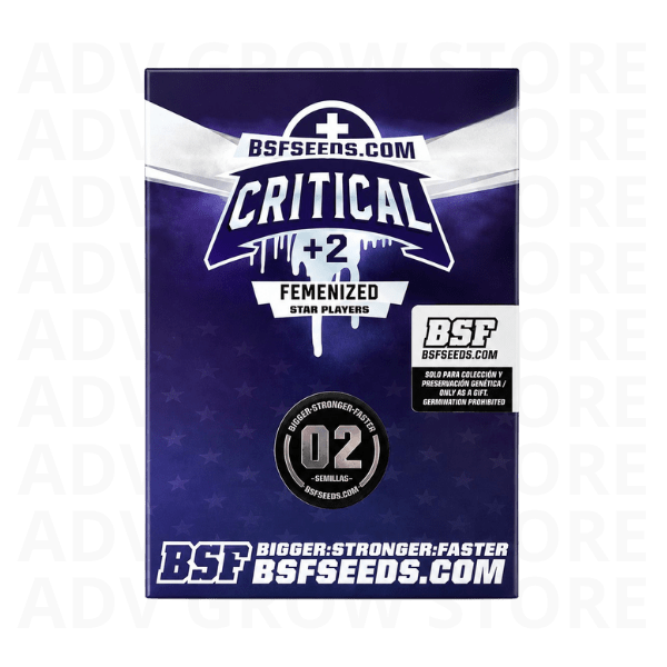CRITICAL+2 FEM-BSF SEEDS1