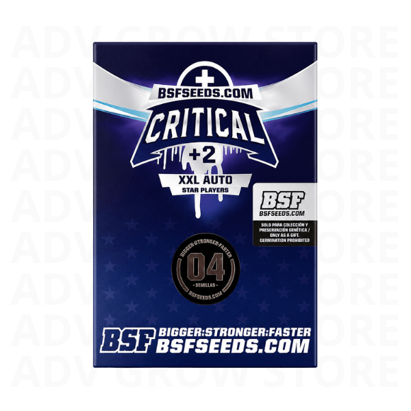 CRITICAL+2 XXL AUTO-BSF SEEDS1
