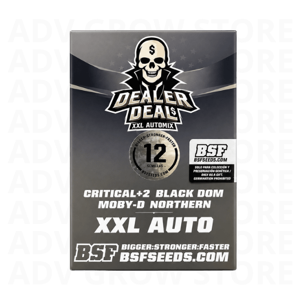 DEALER DEAL XXL AUTO MIX-BSF SEEDS1