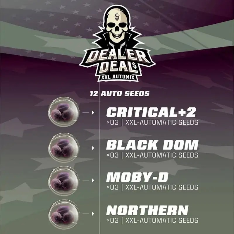 DEALER DEAL AUTO MIX-BSF SEEDS PACK X122