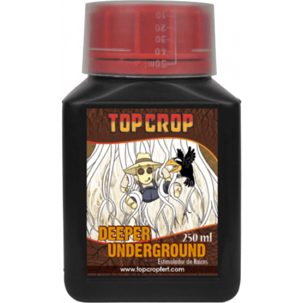 DEEPER UNDERGROUND1