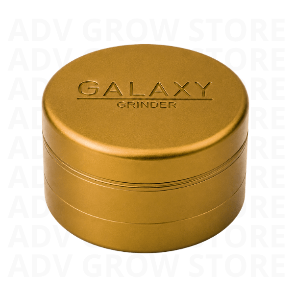 MOLEDOR PRO MODEL DORADO-GALAXY GRINDER1