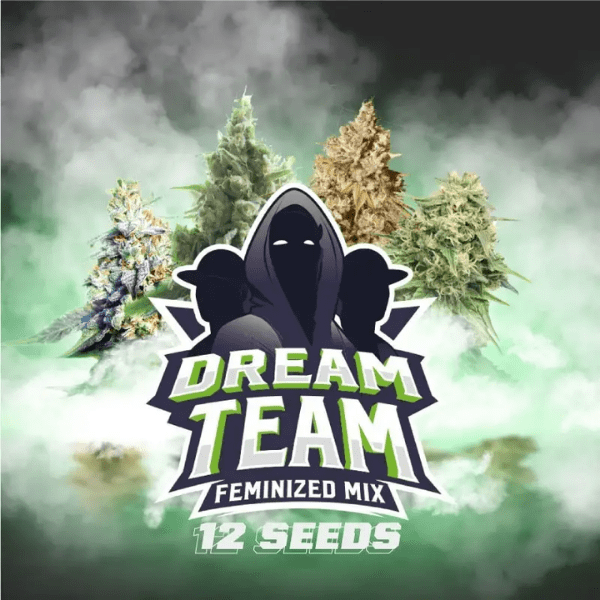 DREAM TEAM MIX FEM-BSF SEEDS1