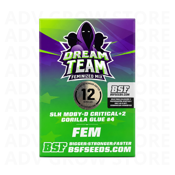DREAM TEAM MIX FEM-BSF SEEDS1
