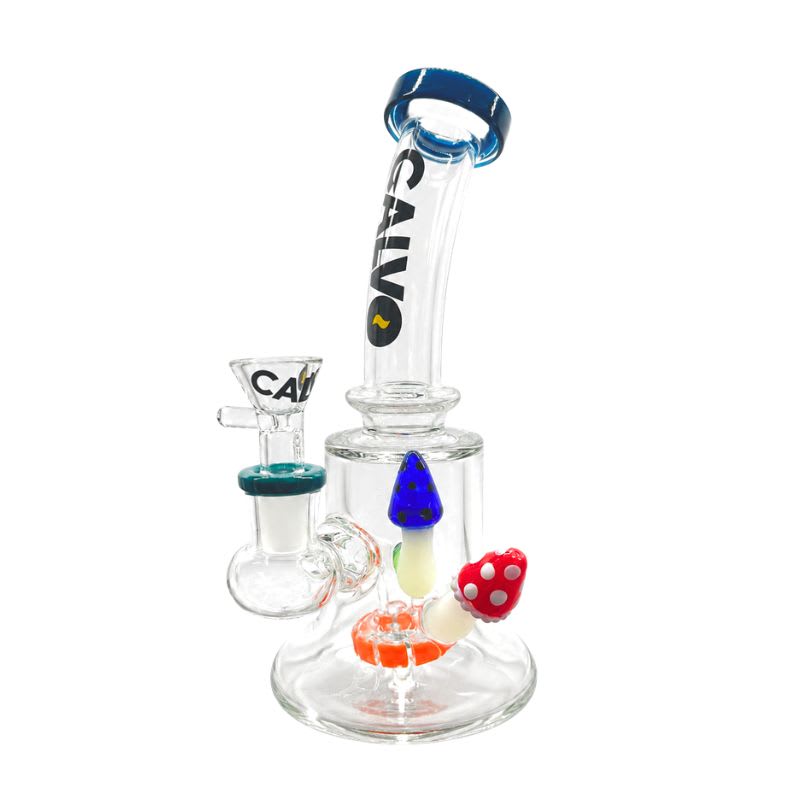 BONG DUAL FUNGI-CALVO GLASS2