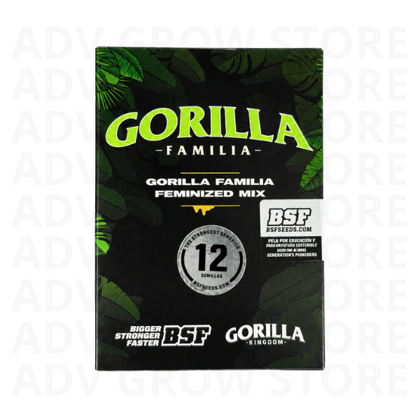 GORILLA FAMILIA MIX FEM-BSF SEEDS1