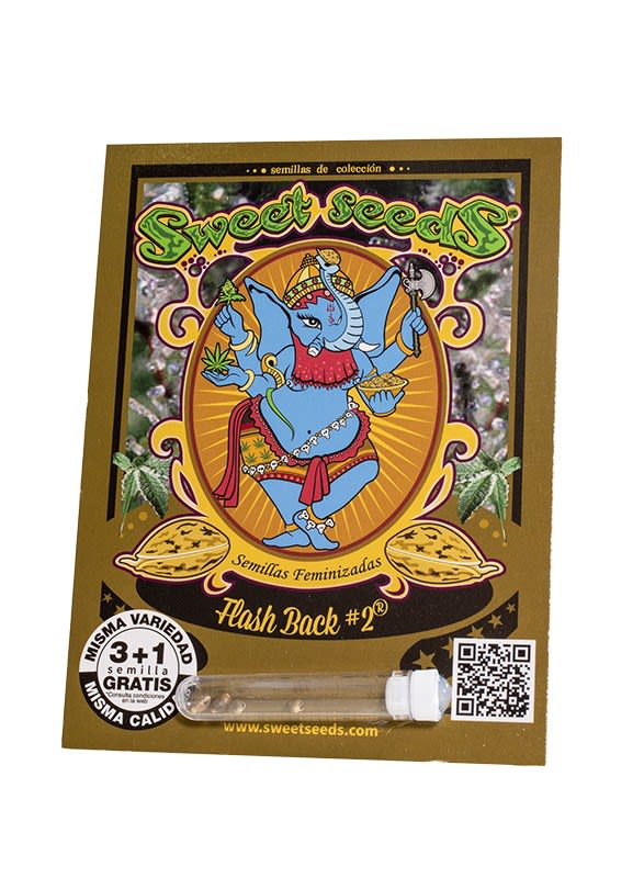 FLASH BACK #2 FEM-SWEET SEEDS PACK 3+11