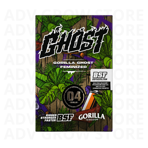 GORILLA GHOST FEM-BSF SEEDS1