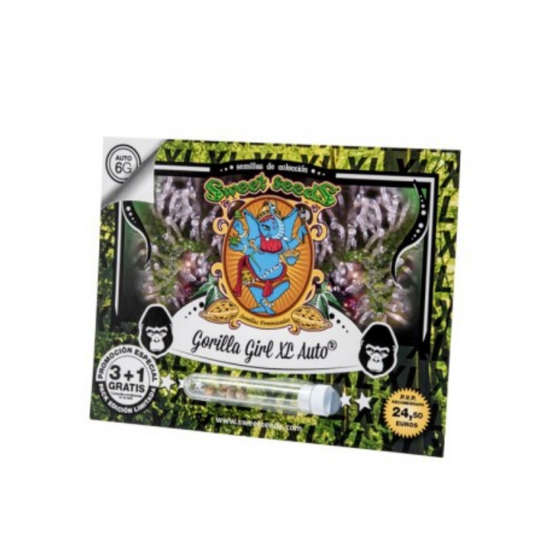 GORILLA GIRL XL AUTO-SWEET SEEDS PACK 3+11