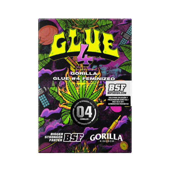 GORILLA GLUE #4 FEM-BSF SEEDS1