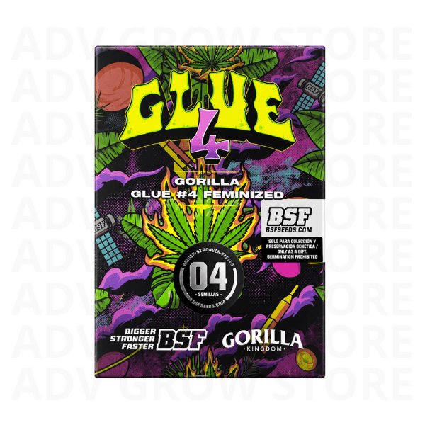 GORILLA GLUE #4 FEM-BSF SEEDS1