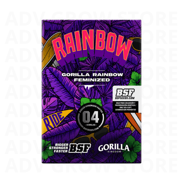 GORILLA RAINBOW FEM-BSF SEEDS1