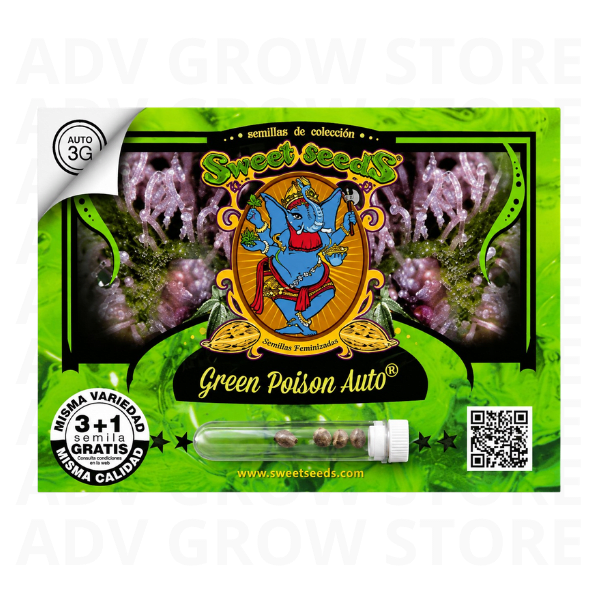 GREEN POISON AUTO-SWEET SEEDS1
