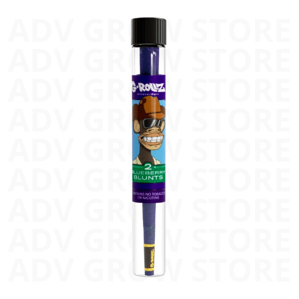 CONOS TERPENOS BLUEBERRY-GROLLZ2