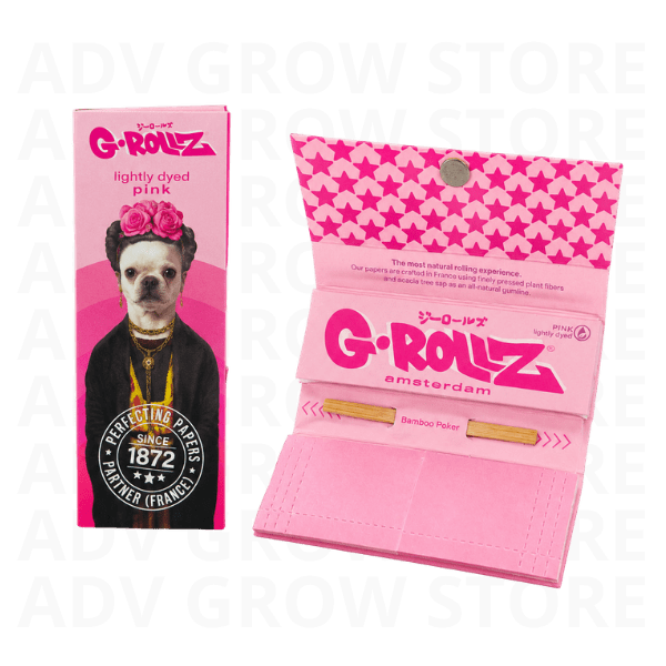 PAPELILLO FRIDA ROSADO-GROLLZ3
