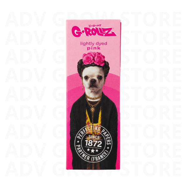 PAPELILLO FRIDA ROSADO-GROLLZ1