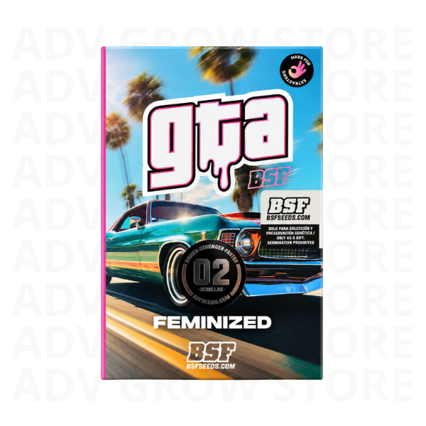 GTA FEM-BSF SEEDS1