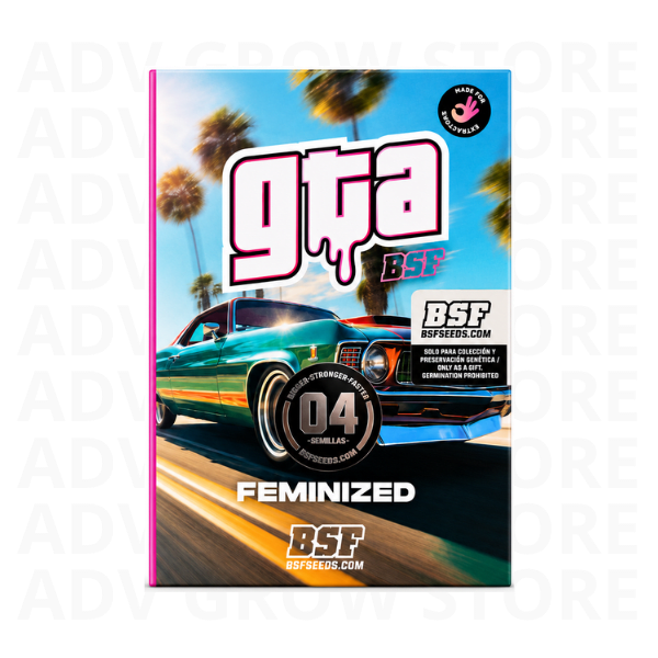 GTA FEM-BSF SEEDS2