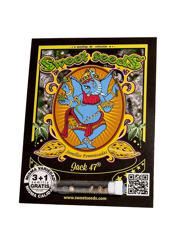 JACK 47 FEM-SWEET SEEDS PACK 3+11