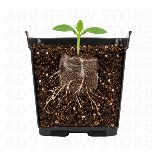 PASTILLA DE GERMINACION-JIFFY3