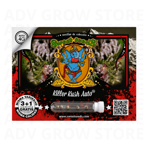 KILLER KUSH AUTO-SWEET SEEDS1
