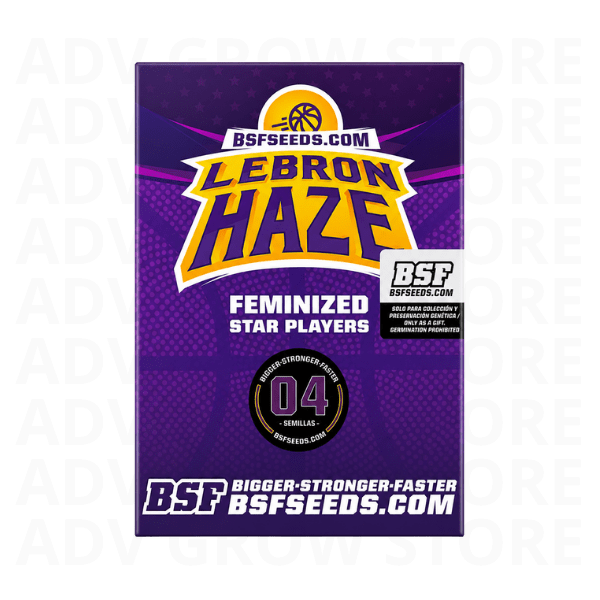 LEBRON HAZE FEM-BSF SEEDS1