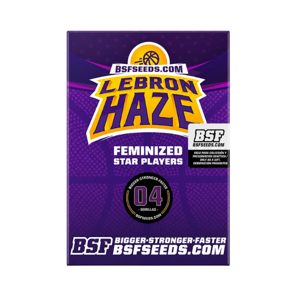 LEBRON HAZE FEM-BSF SEEDS1