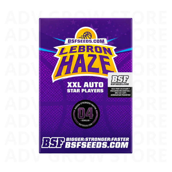 LEBRON HAZE XXL AUTO-BSF SEEDS1