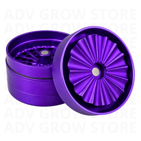 MOLEDOR PRO MODEL MORADO-GALAXY GRINDER2