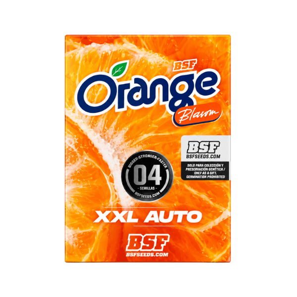 ORANGE BLOSSOM XXL AUTO-BSF SEEDS PACK X41