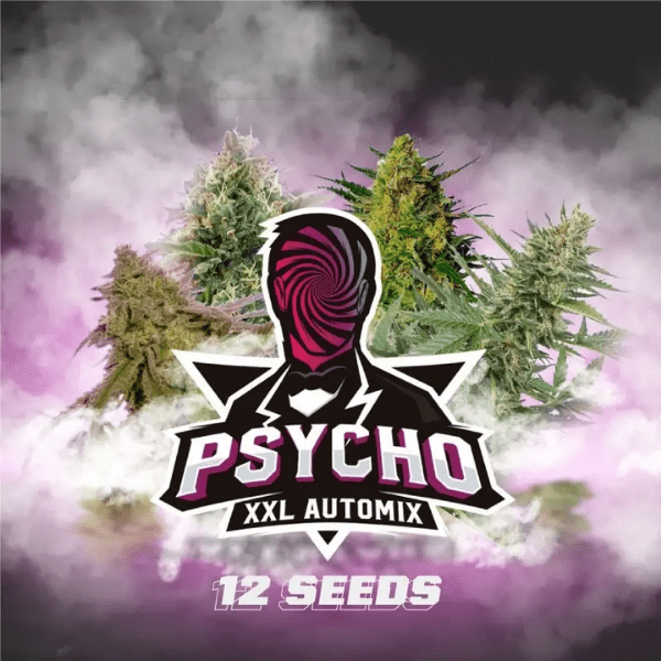 PSYCHO XXL AUTO MIX-BSF SEEDS1