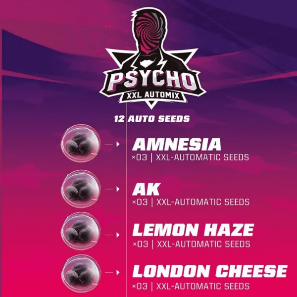 PSYCHO XXL AUTO MIX-BSF SEEDS2