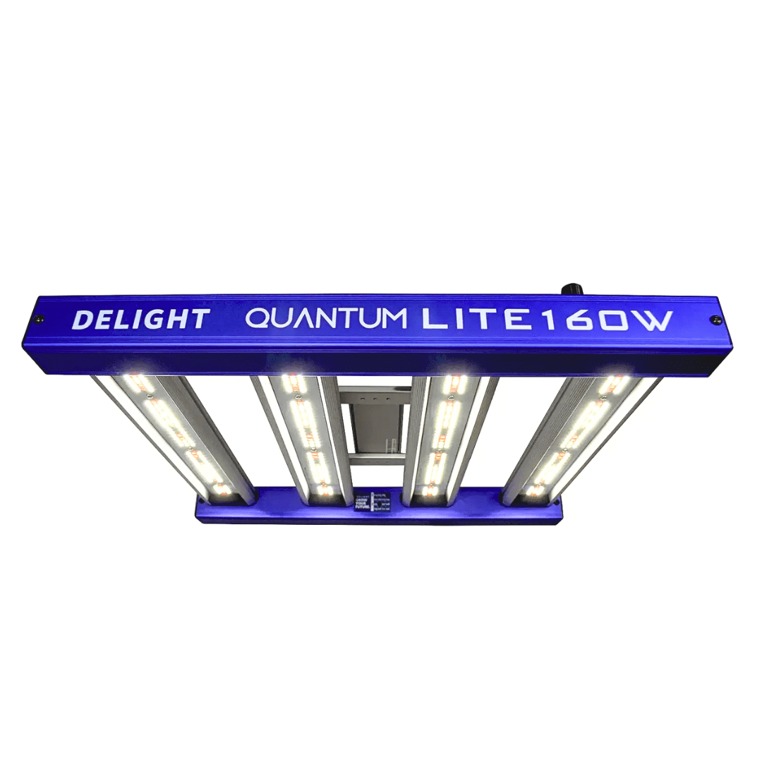 LED NEW QUANTUM LITE 160W1