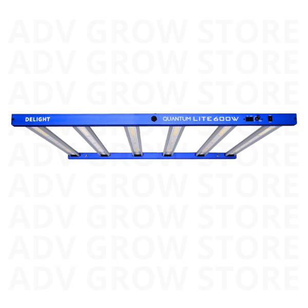 LED NEW QUANTUM LITE 600W2