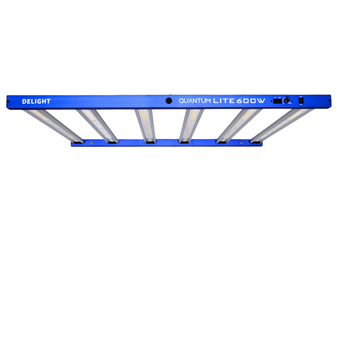 LED NEW QUANTUM LITE 600W2