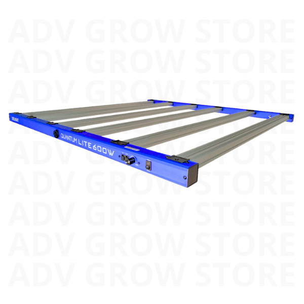 LED NEW QUANTUM LITE 600W1