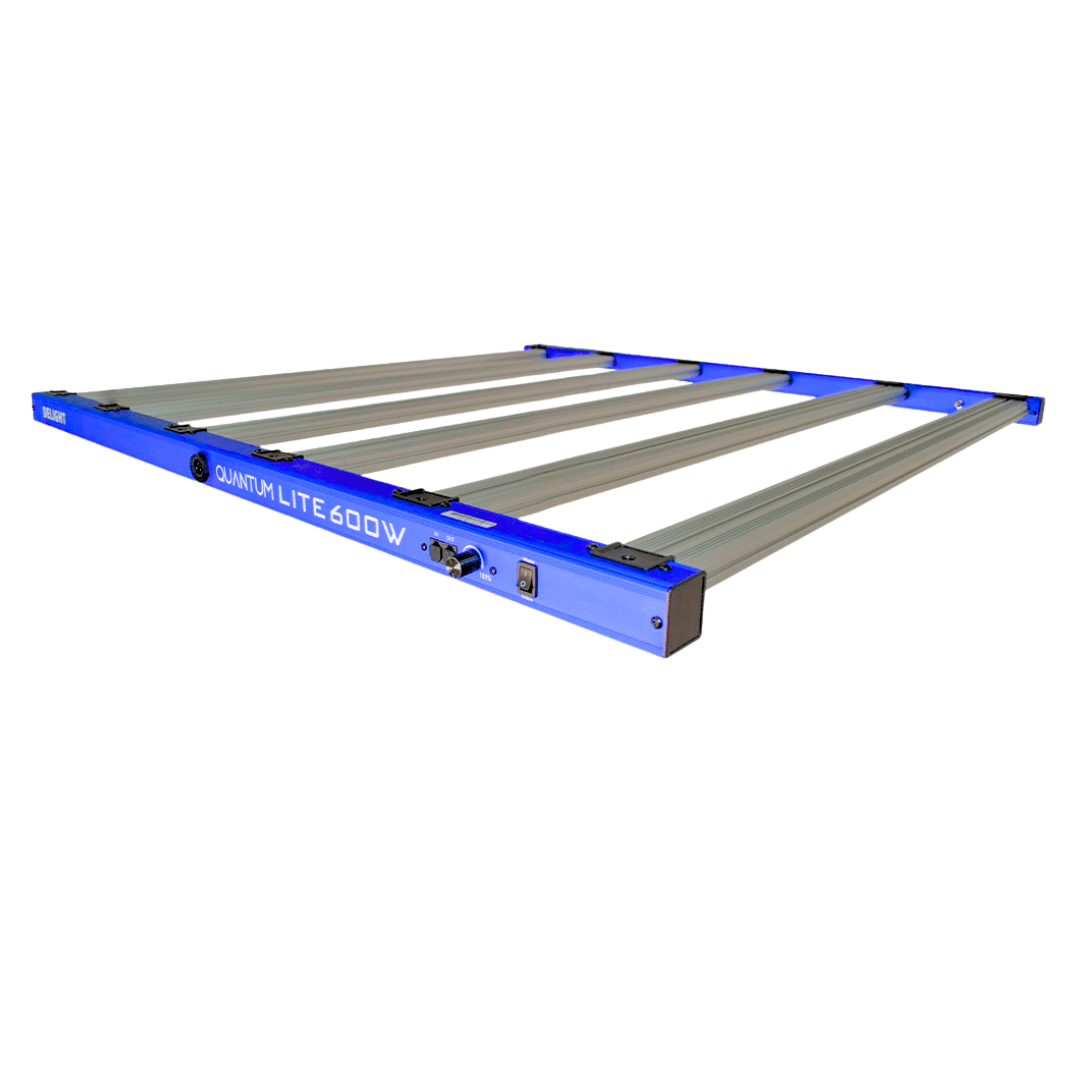 LED NEW QUANTUM LITE 600W-DELIGHT1