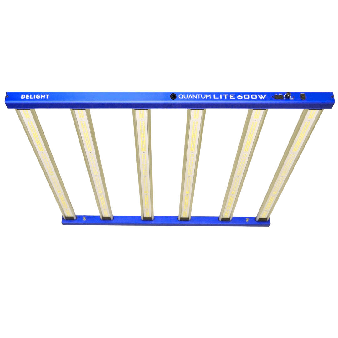 LED NEW QUANTUM LITE 600W-DELIGHT3