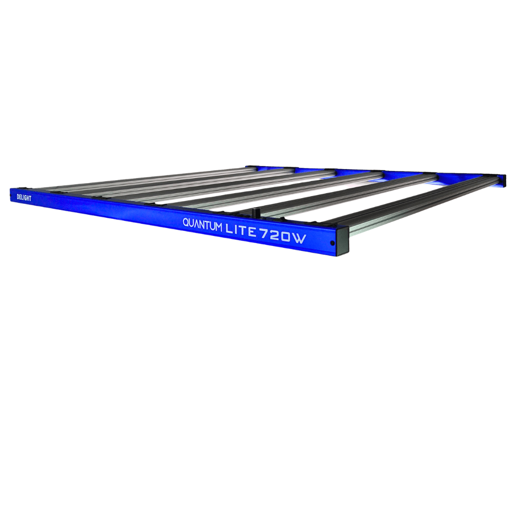 LED NEW QUANTUM LITE 720W-DELIGHT1