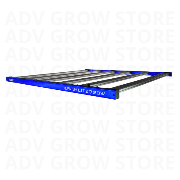 LED NEW QUANTUM LITE 720W1