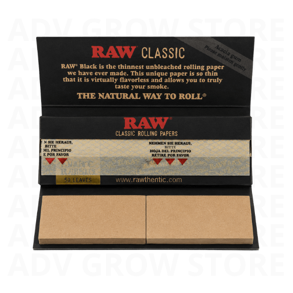 PAPELILLO CONNOISSEUR BLACK-RAW2
