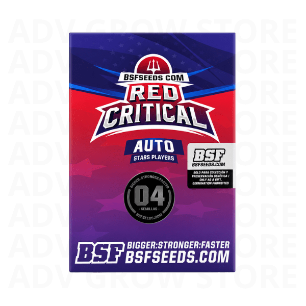 RED CRITICAL AUTO-BSF SEEDS1